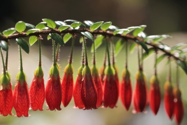 佛山南海区5私人快速借钱网，轻松解决资金难题