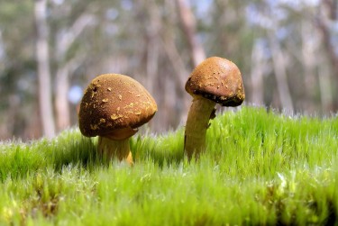 佛山南海区5私人老板放款：轻松融资的秘密通道